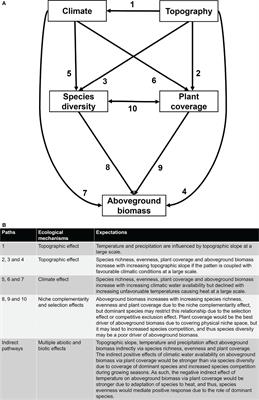 Frontiers | Precipitation And Temperature Regulate Species Diversity ...